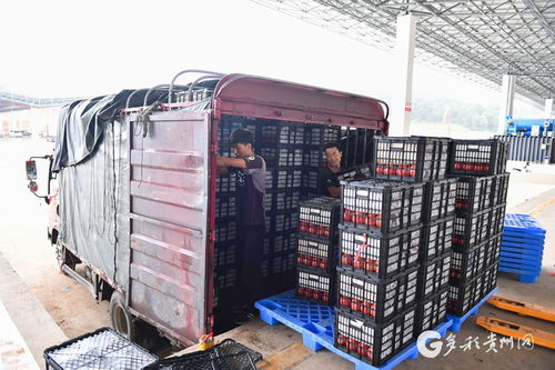构建高效物流网络，赋能威宁农副产品走向全国